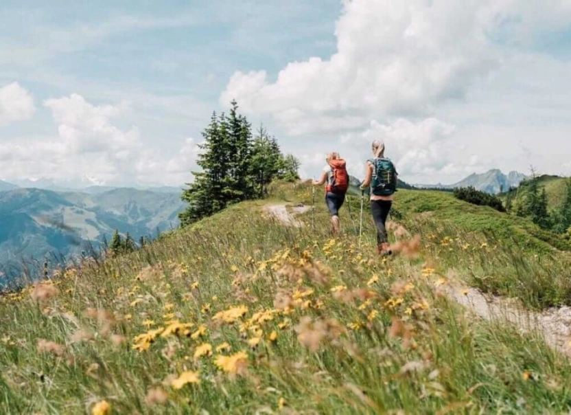 Zwei Wanderer auf blühender Alm mit Blick auf Berge im Salzburger Land
