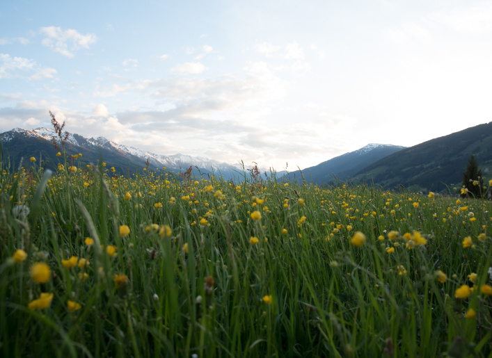 Ferienregion Nationalpark Hohe Tauern
