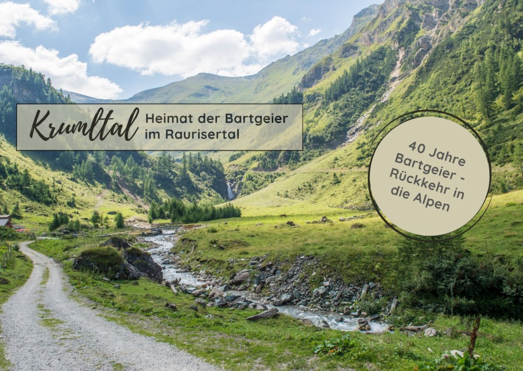 Turistická cesta a horský potok v zeleném údolí Krumltal, obklopeném strmými horami a jehličnatým lesem
