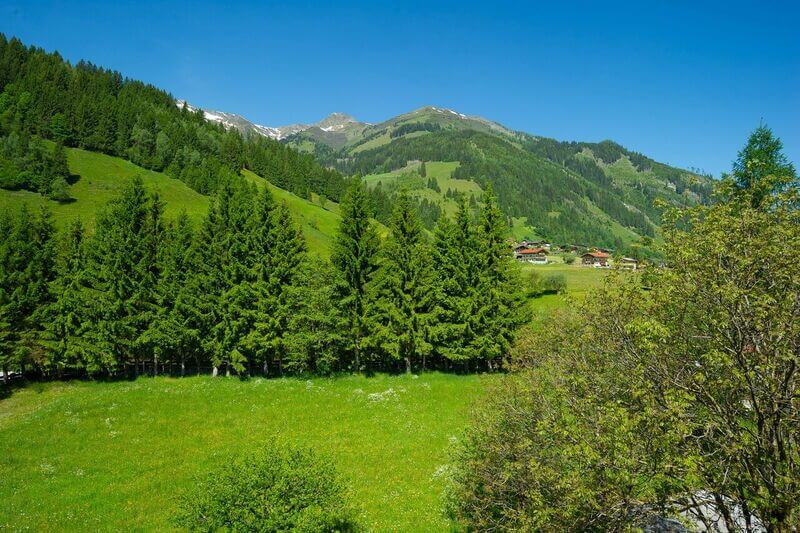 Grüne Bergwiesen und Nadelwald vor bewaldeten Gipfeln unter blauem Himmel