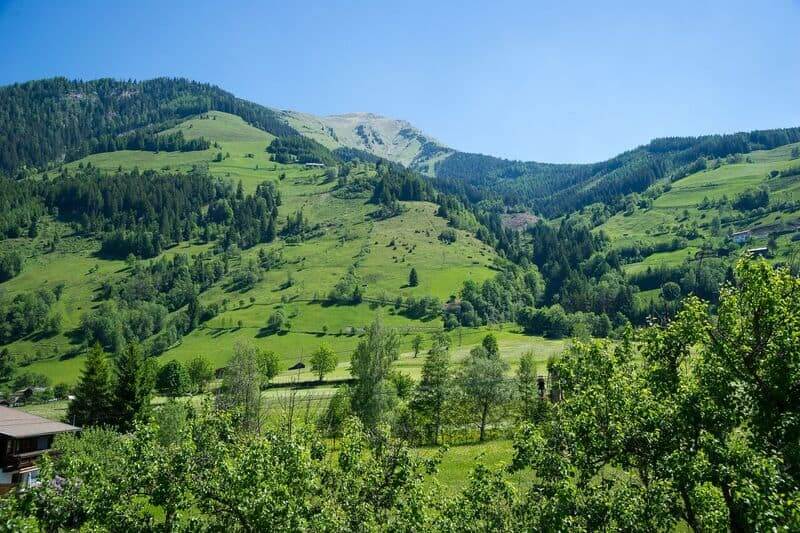 Sonnige grüne Berghänge mit Wäldern und Wiesen unter klarem blauem Himmel