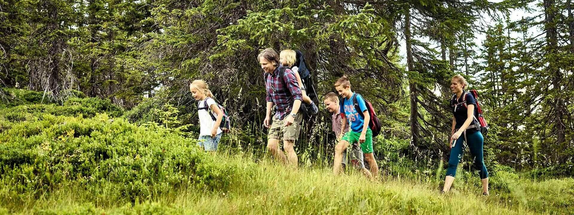 Familie unternimmt eine Wanderung durch grüne Wiesen und Wälder in den Bergen.