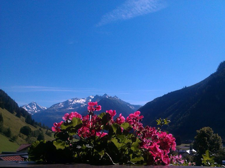 Blick auf die Berge und blühende Geranien in Rauris an einem sonnigen Tag.