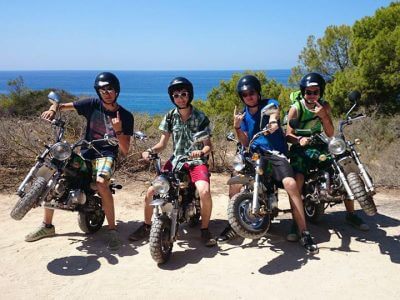Vier junge Männer auf Minibikes vor Meer und Pinien bei actionreicher Quad Tour Mallorca