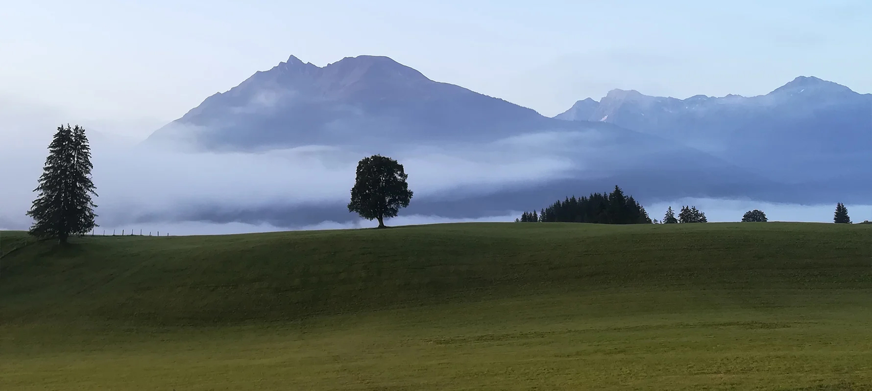 Nebellandschaft mit Bäumen vor Bergen im Pinzgau bei Mittersill