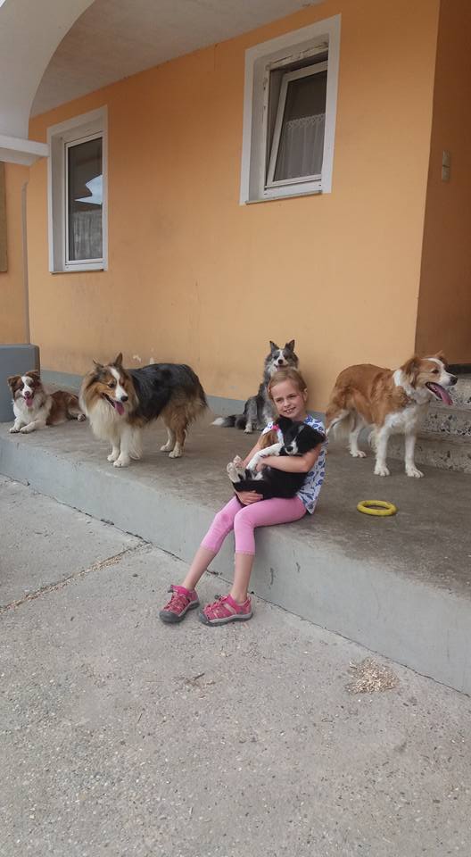 Mädchen mit Border Collies auf Terrasse eines Bio-Bauernhofs im Mostviertel Melk