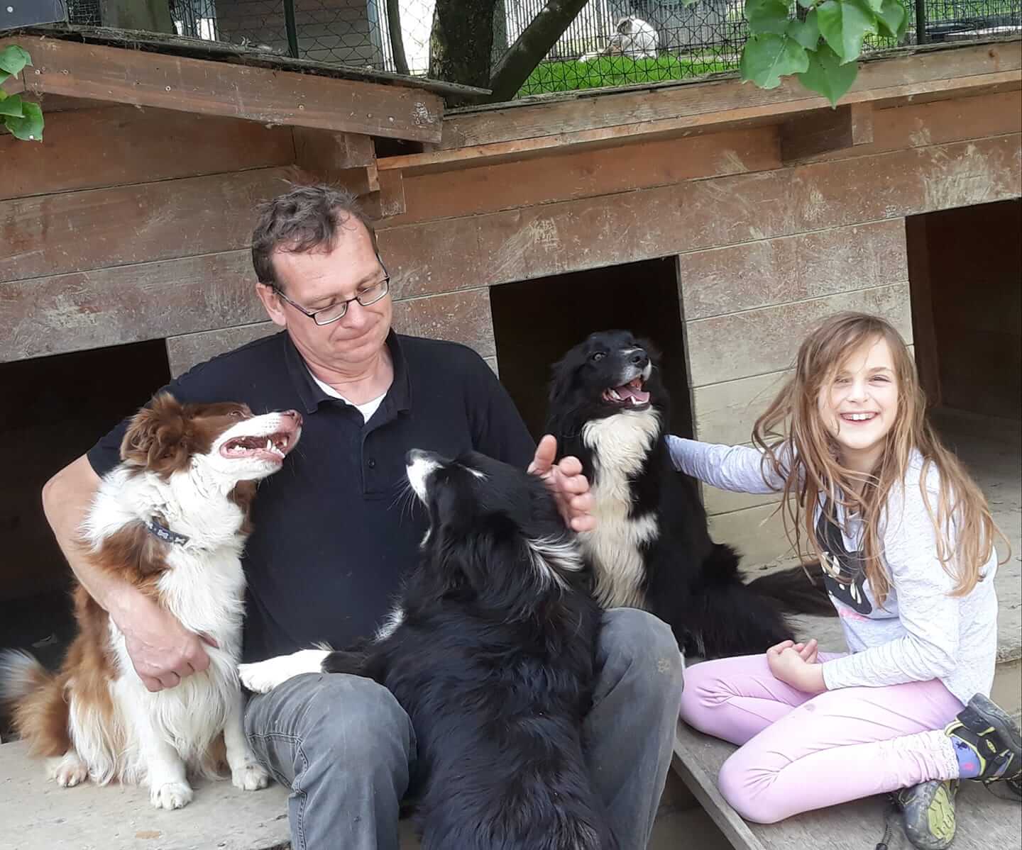 Mann und Mädchen mit drei Border Collies beim Familienbetrieb auf dem bio Bauernhof Sunn-Hof