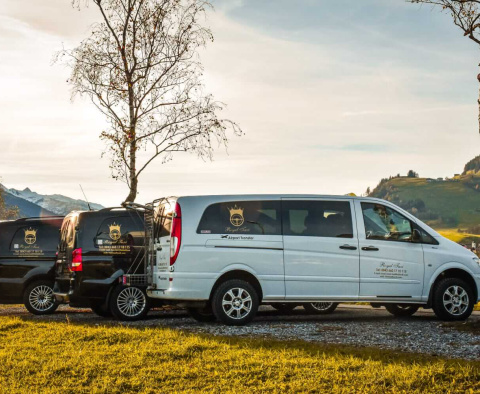 Drei moderne Taxis von Taxi Royal - ihr Taxi Service in Saalbach - vor einer malerischen Landschaft.