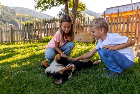 FAMILIEN-SOMMERHIT IN DEN FAMILIENSUITEN